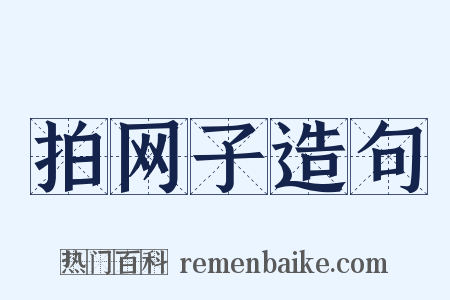 拍网子造句是什么意思的图片
